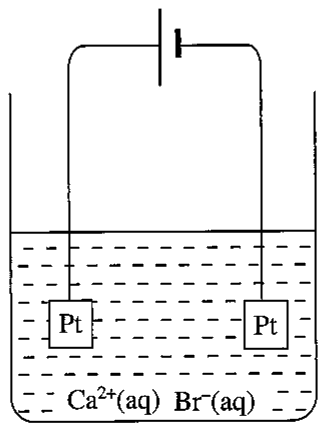 Electrolysis cell: two Pt electrodes in Ca^{2+}(aq) Br^−(aq), connected to a battery