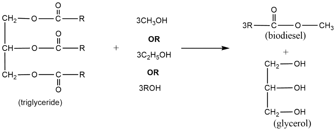 Equation for the synthesis of biodiesel (scheme)