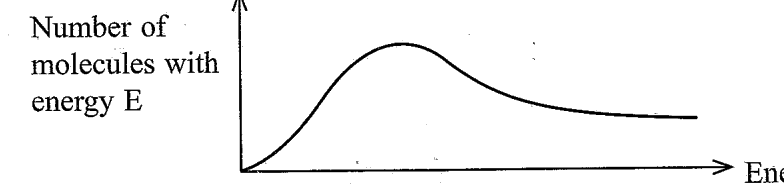 Figure from the original paper